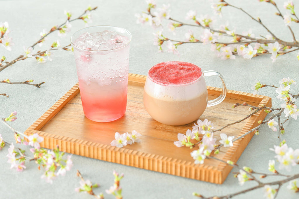 期間限定メニューのお知らせ
